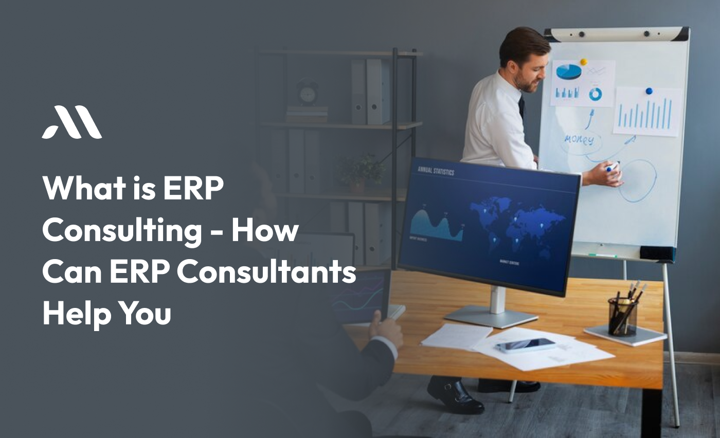 What is ERP Consulting - How Can ERP Consultants Help You