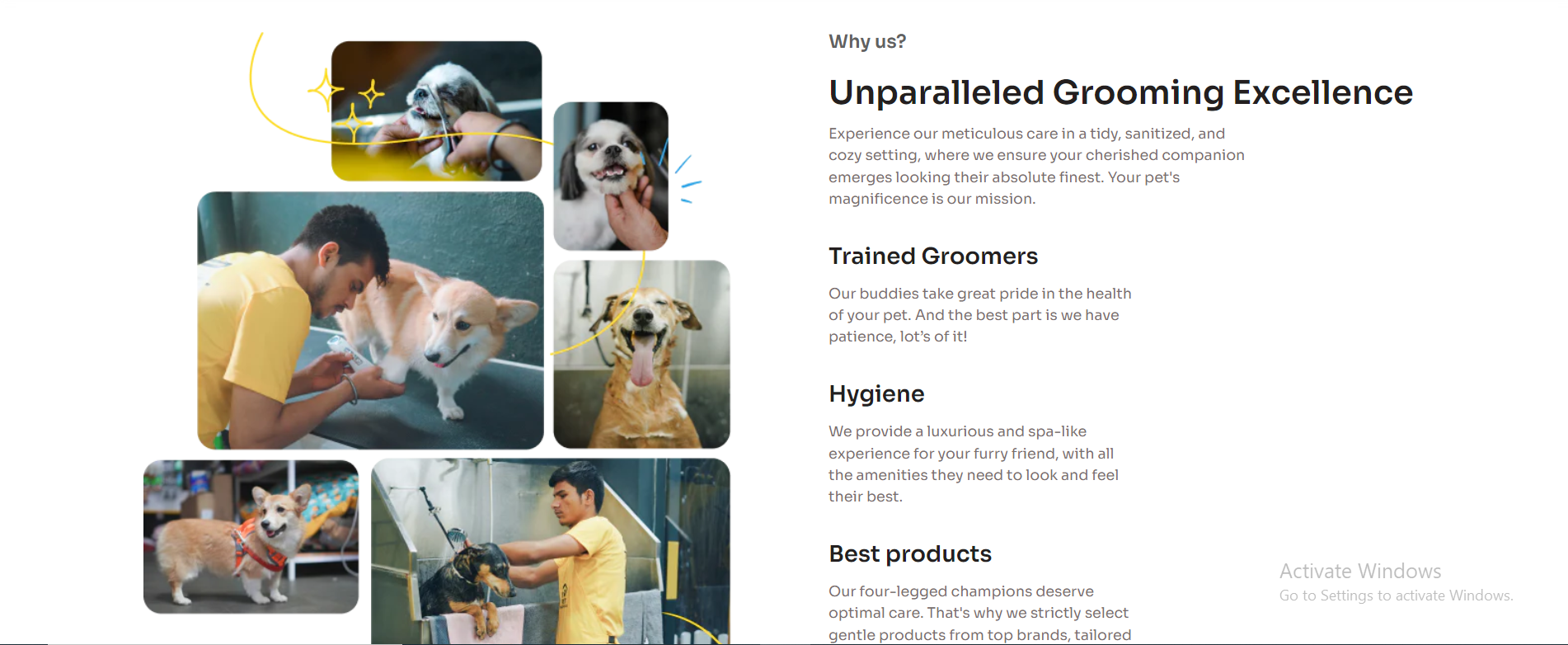 Pet Grooming App